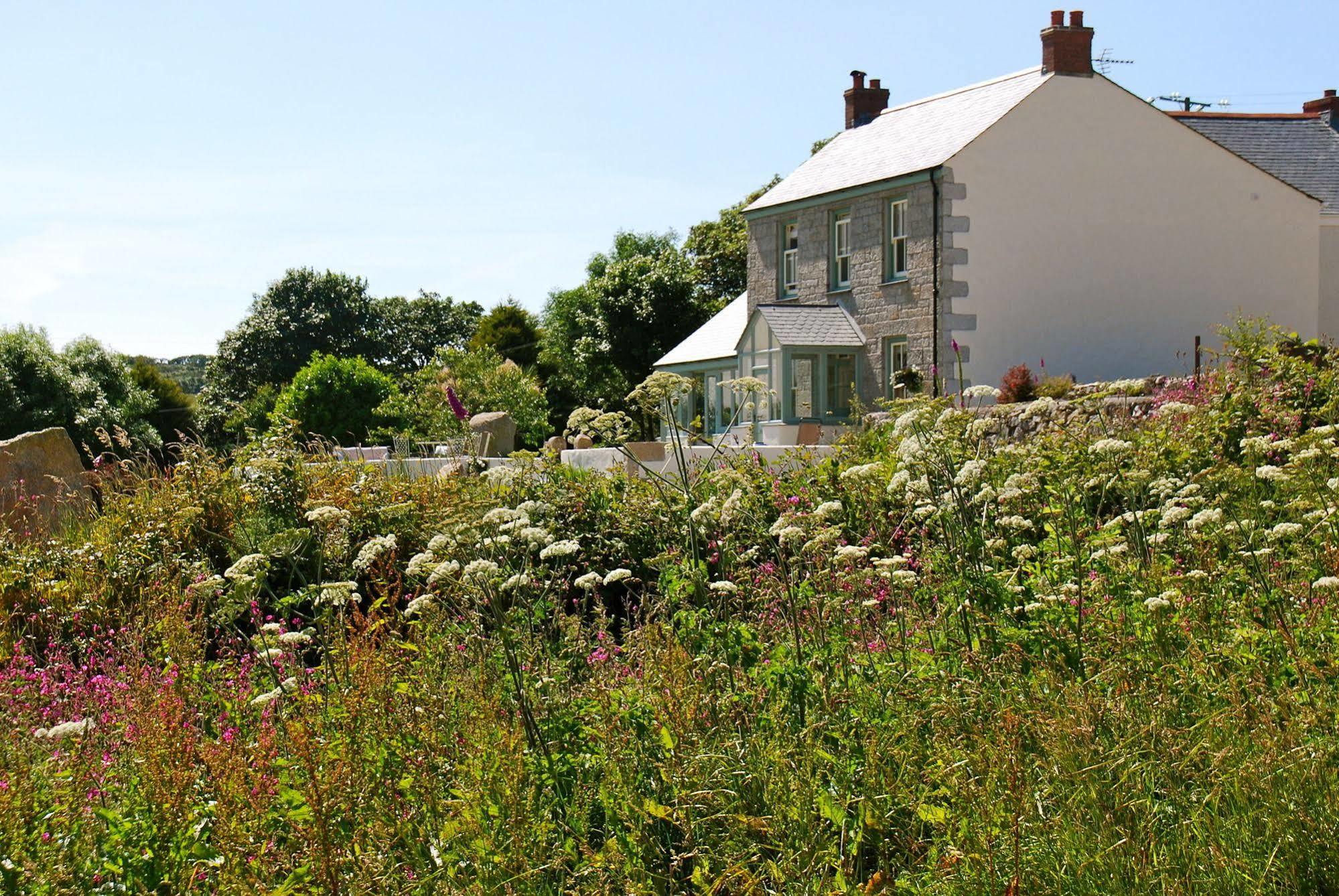 Fig Tree House Bed & Breakfast